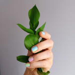 Carica l'immagine nel visualizzatore di Gallery, TO ZION